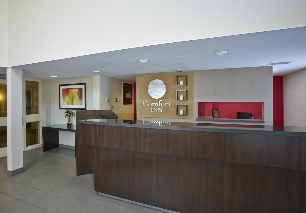 Comfort Inn East Moncton Exteriör bild